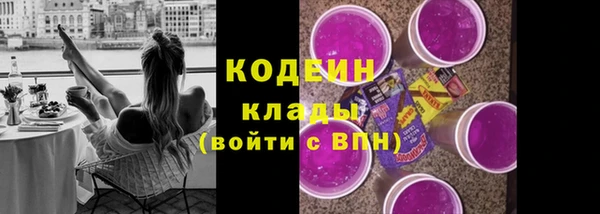 ECSTASY Алзамай