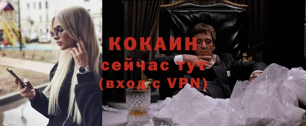 тгк Алексин