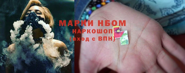 ECSTASY Алзамай