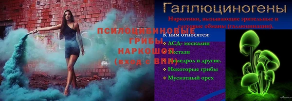 тгк Алексин