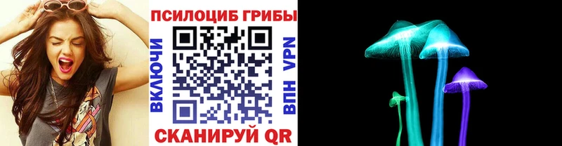 Псилоцибиновые грибы прущие грибы  где купить наркотик  Пролетарск 